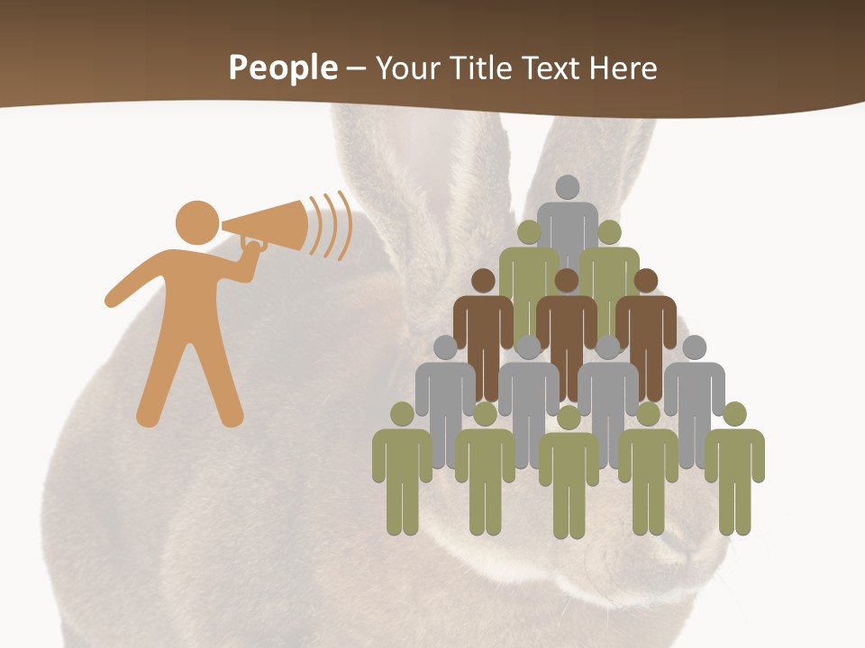 Whiskers Playful Brown PowerPoint Template