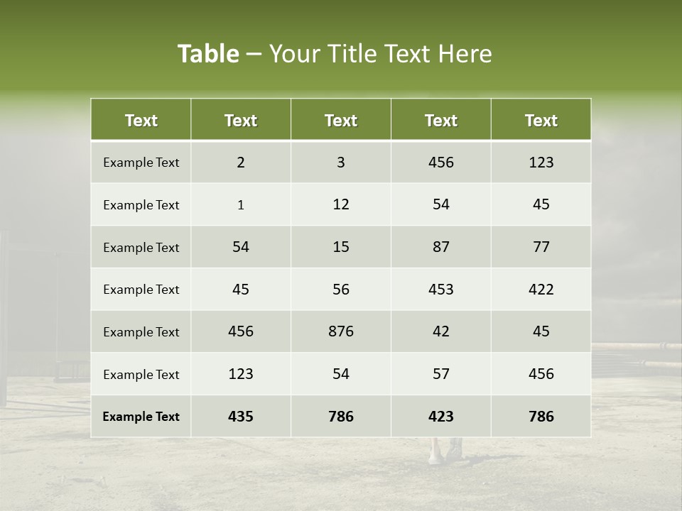 Videocon Tv PowerPoint Template
