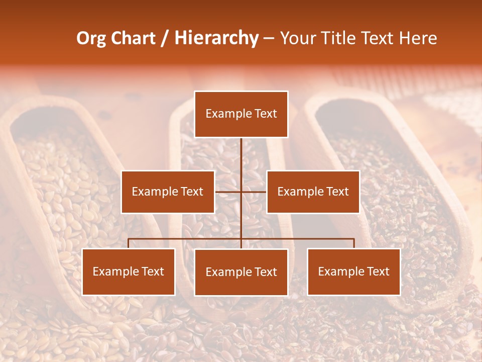 Flax Seeds PowerPoint Template