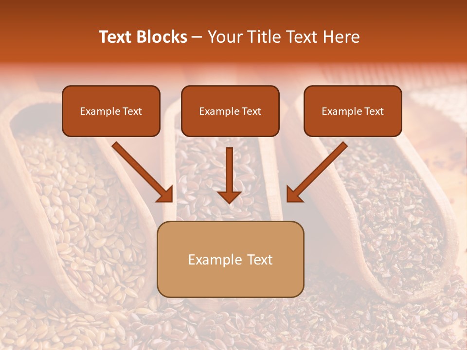 Flax Seeds PowerPoint Template