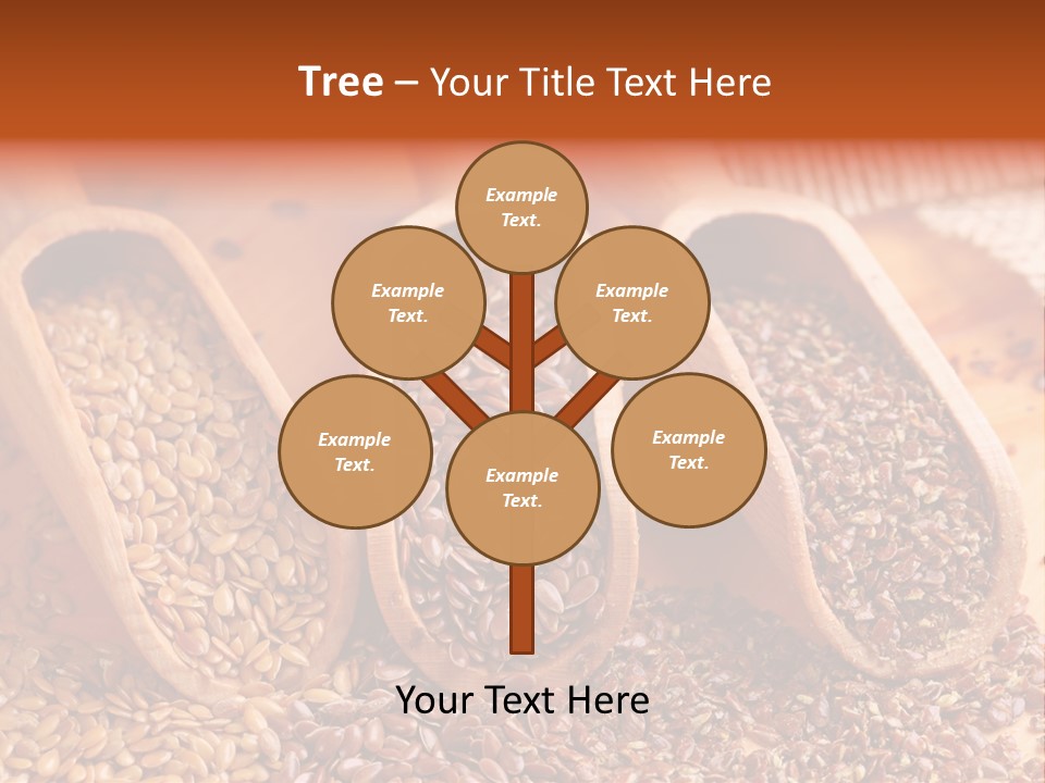 Flax Seeds PowerPoint Template