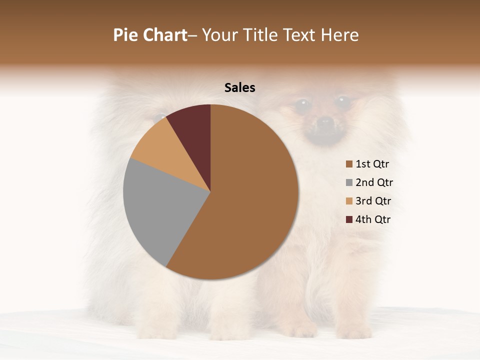 Fluffy Puppies PowerPoint Template