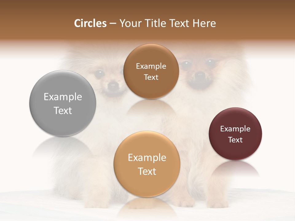 Fluffy Puppies PowerPoint Template