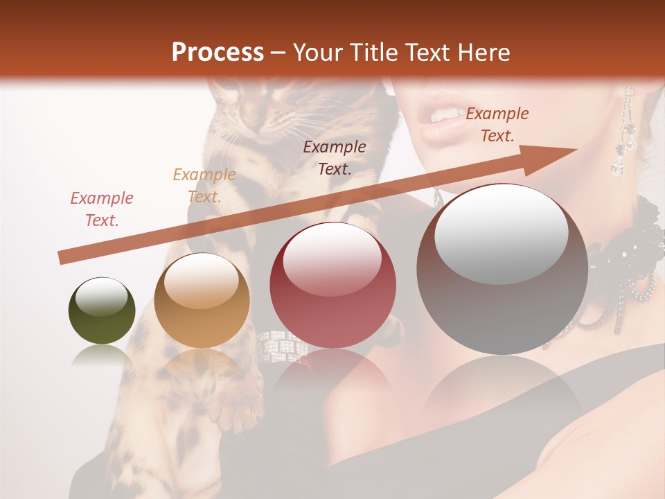 British Animal Lovely PowerPoint Template