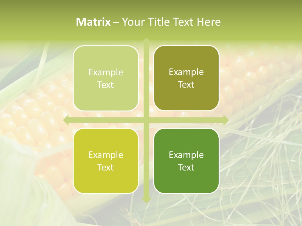 Corn PowerPoint Template