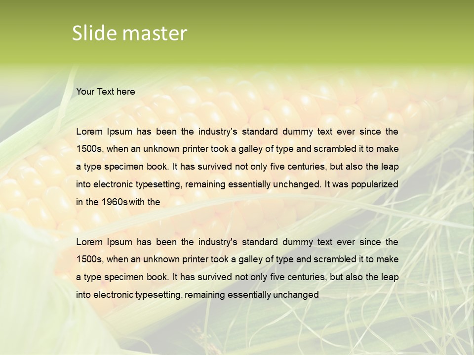 Corn PowerPoint Template