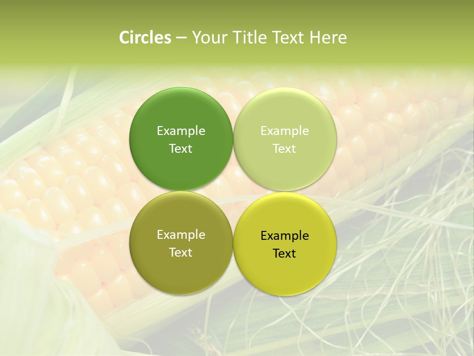 Corn PowerPoint Template