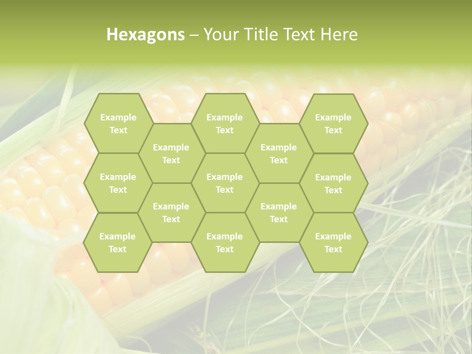 Corn PowerPoint Template
