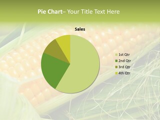 Corn PowerPoint Template