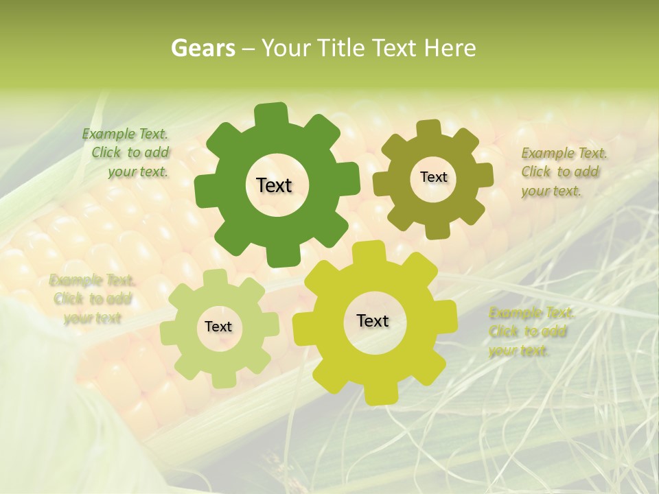 Corn PowerPoint Template