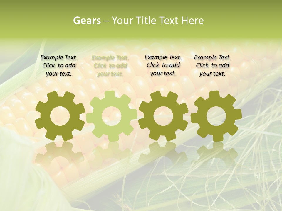 Corn PowerPoint Template