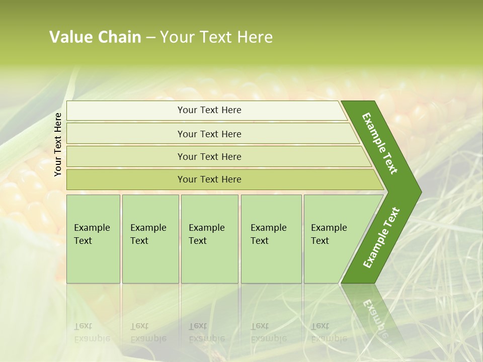 Corn PowerPoint Template
