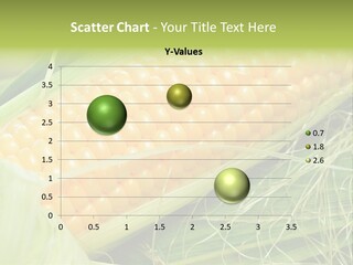 Corn PowerPoint Template