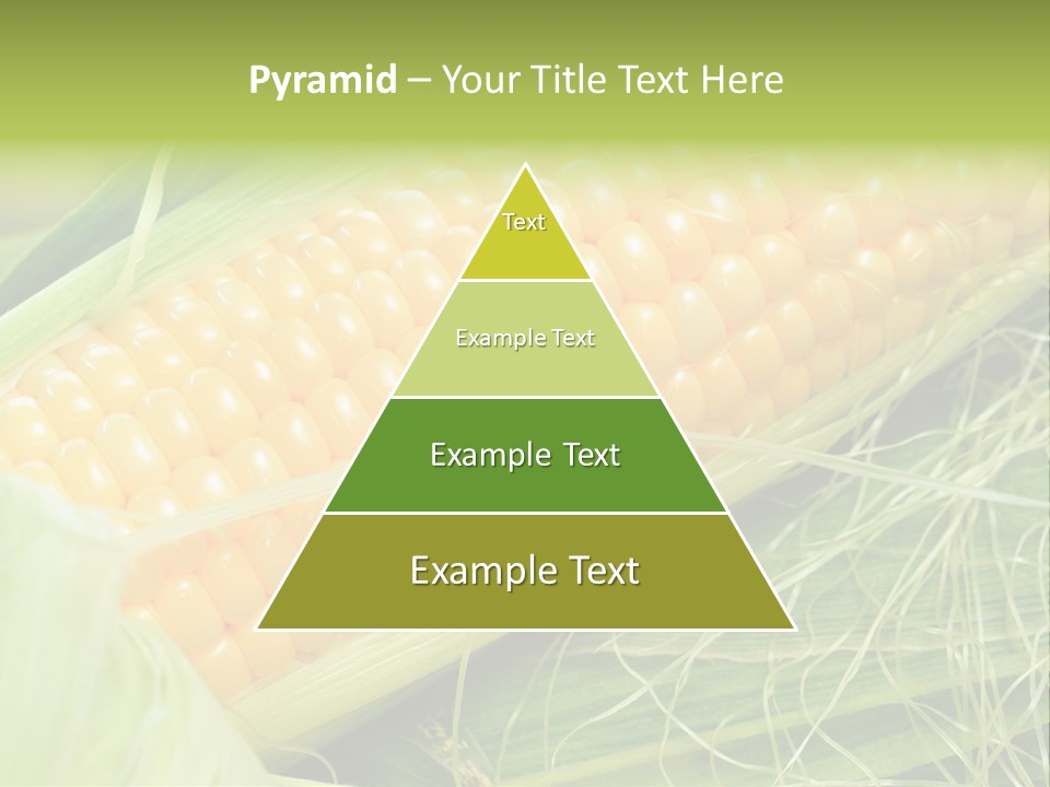 Corn PowerPoint Template