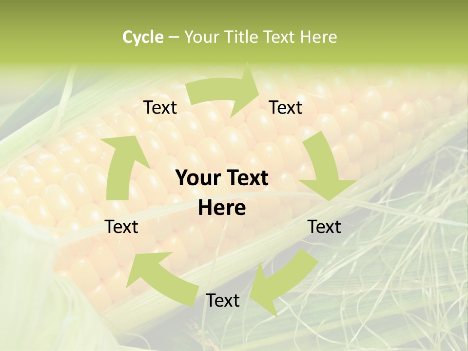 Corn PowerPoint Template