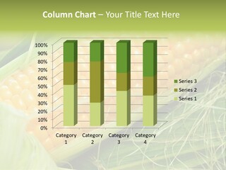 Corn PowerPoint Template