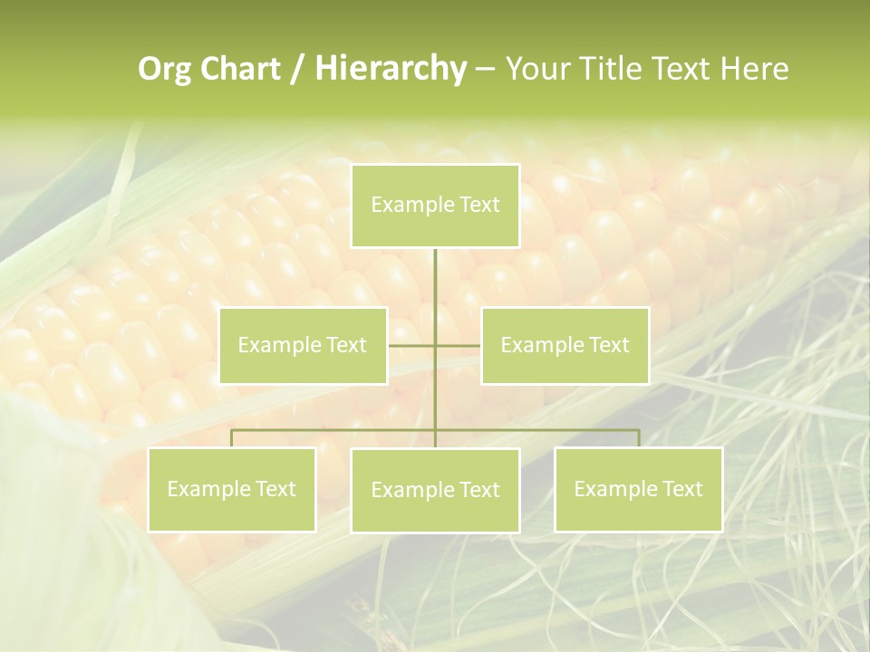 Corn PowerPoint Template
