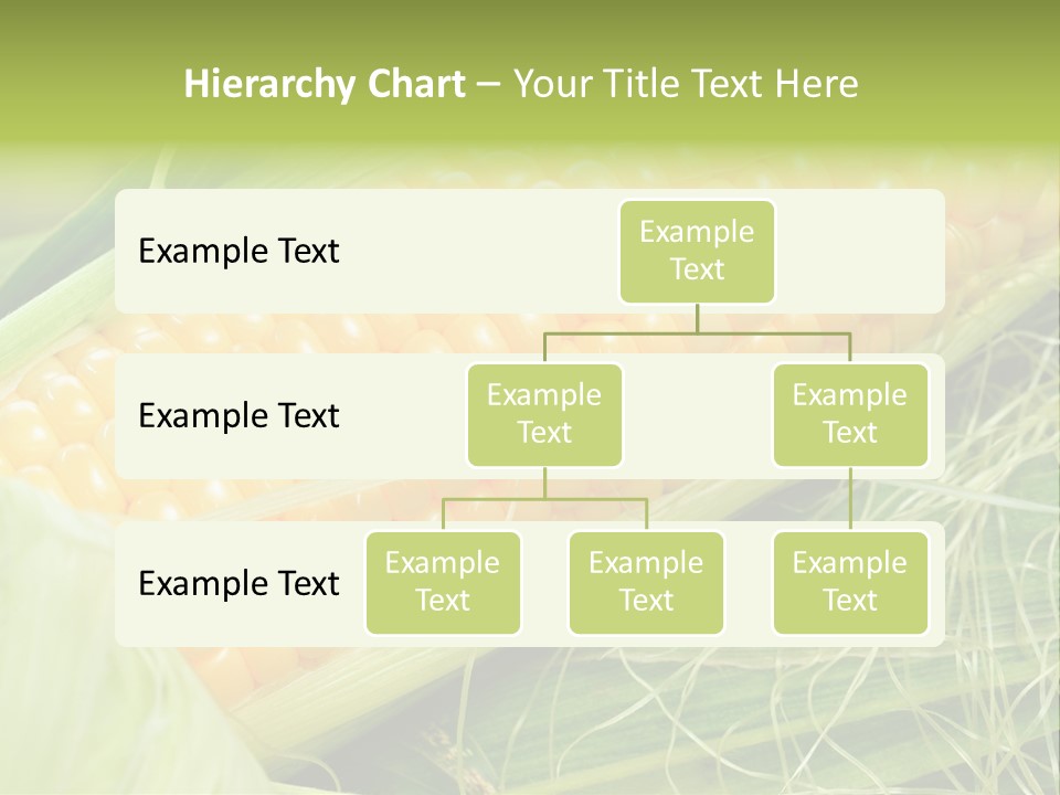 Corn PowerPoint Template