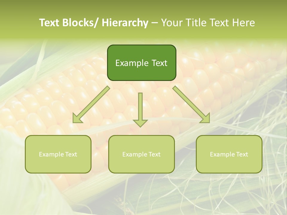 Corn PowerPoint Template