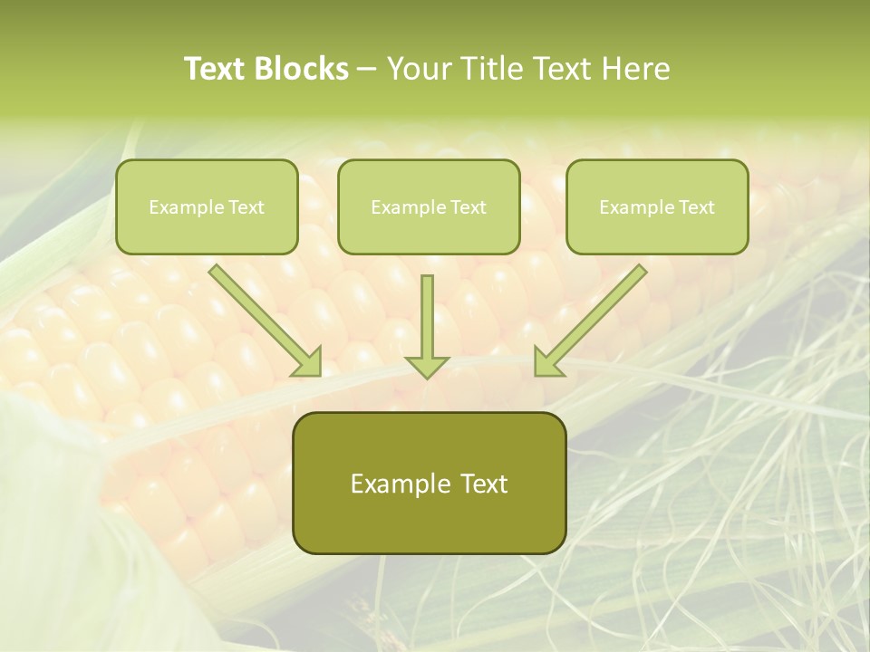 Corn PowerPoint Template