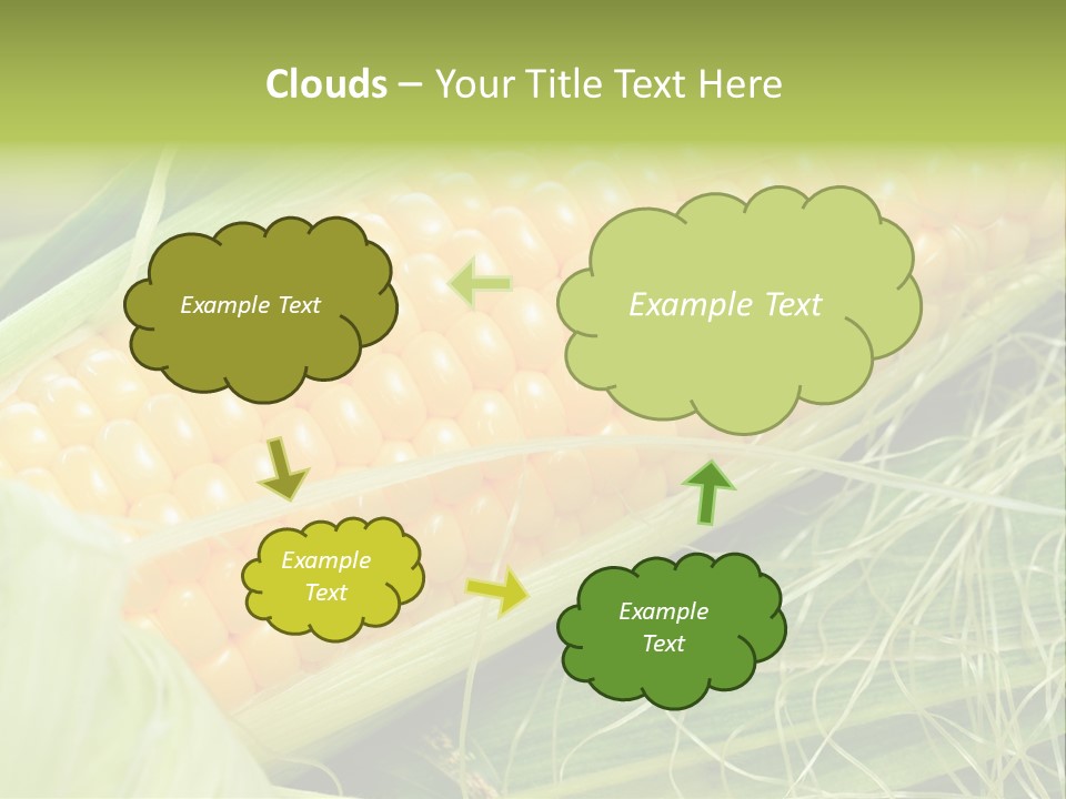 Corn PowerPoint Template