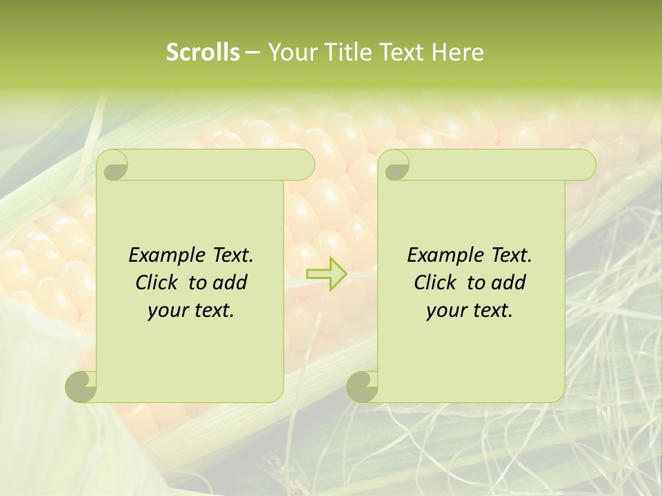 Corn PowerPoint Template