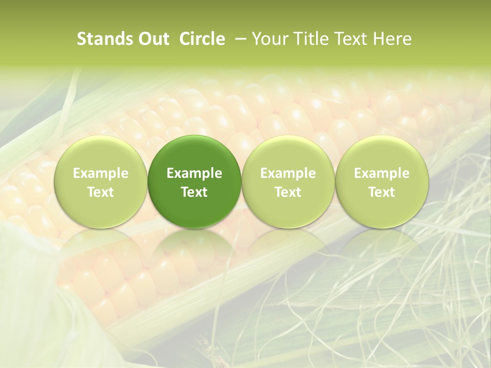 Corn PowerPoint Template