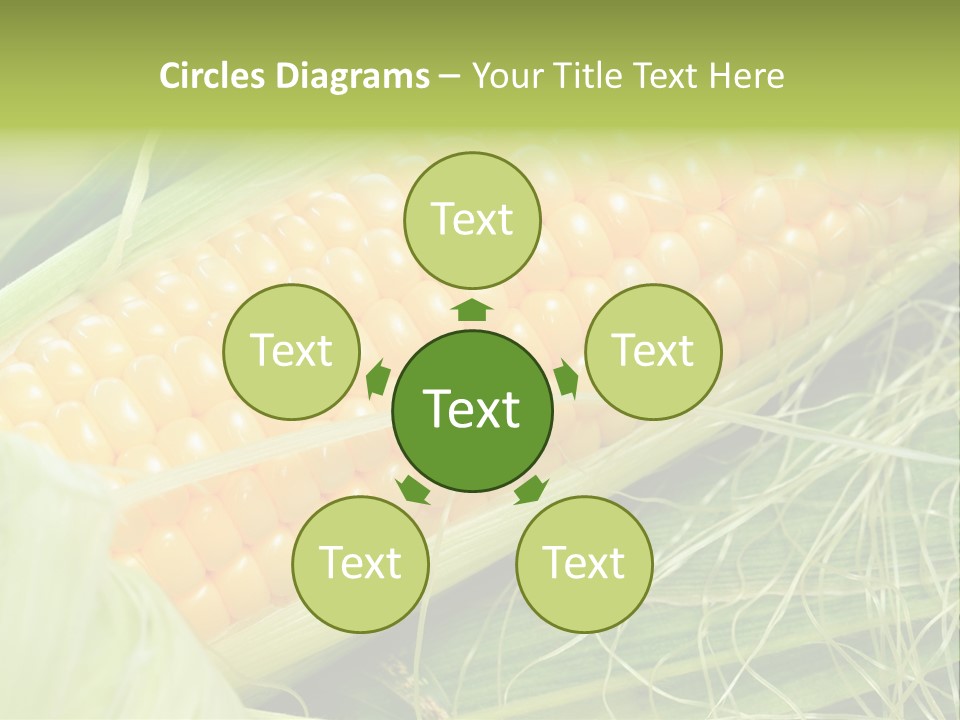 Corn PowerPoint Template