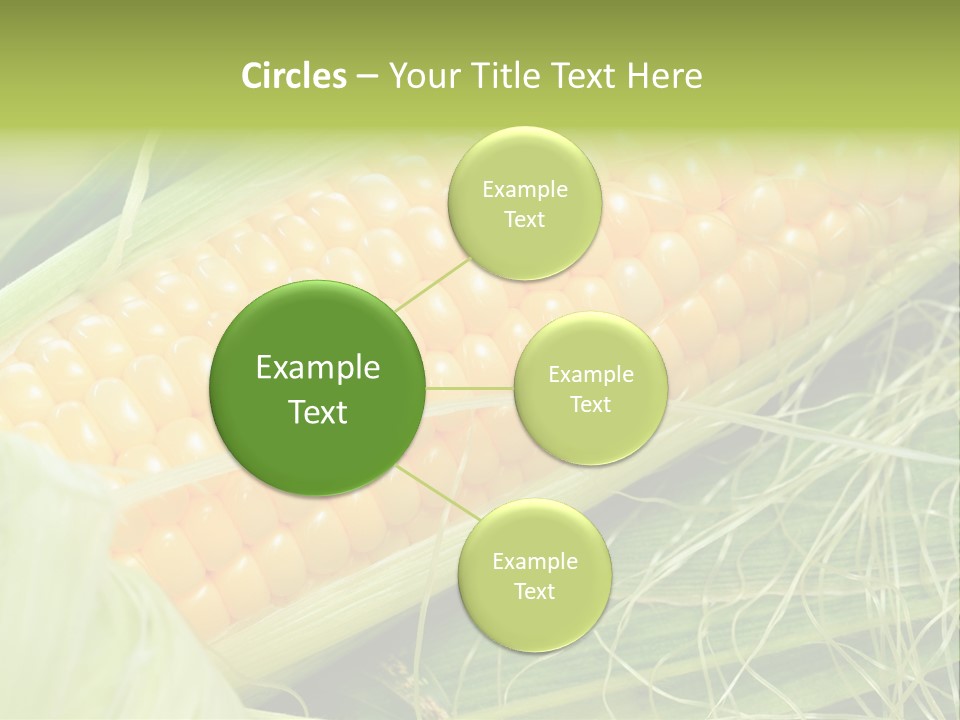 Corn PowerPoint Template