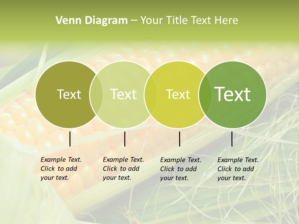 Corn PowerPoint Template