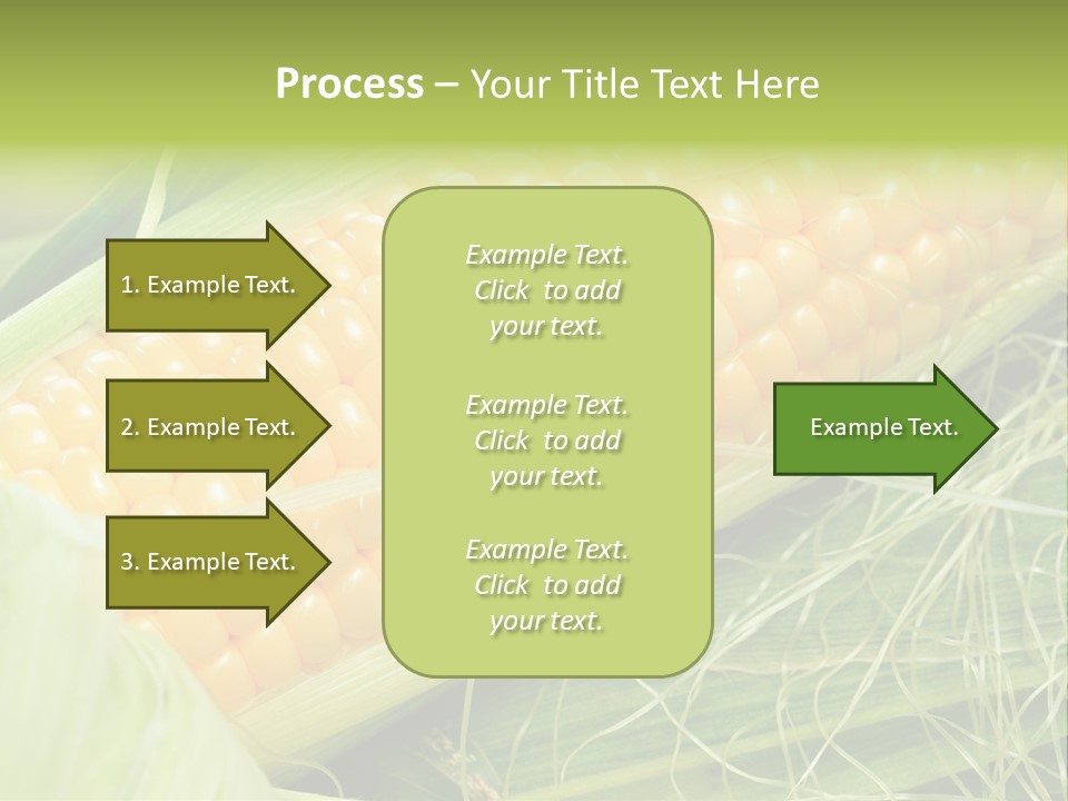 Corn PowerPoint Template