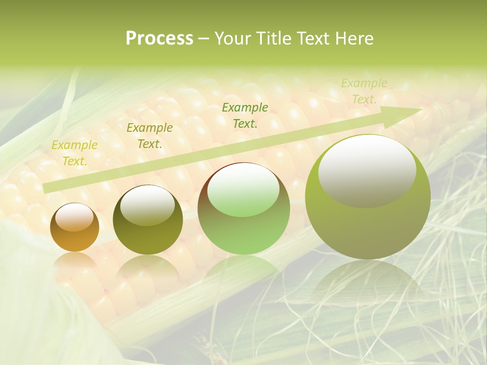 Corn PowerPoint Template