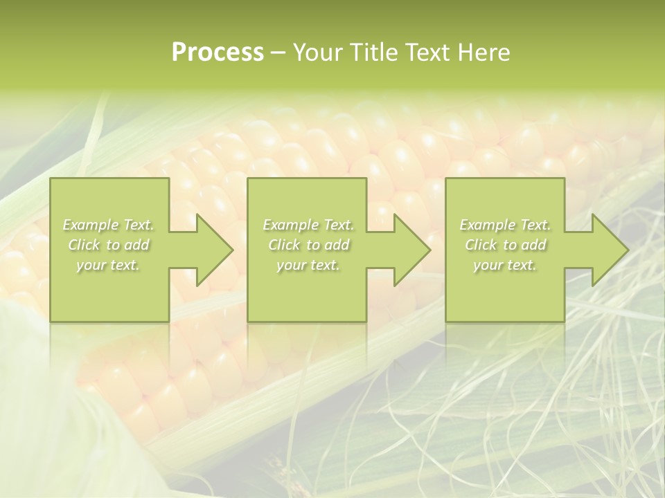 Corn PowerPoint Template