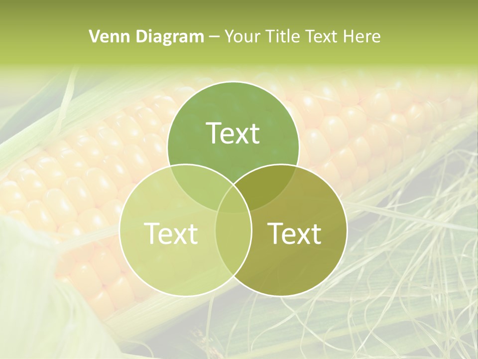 Corn PowerPoint Template
