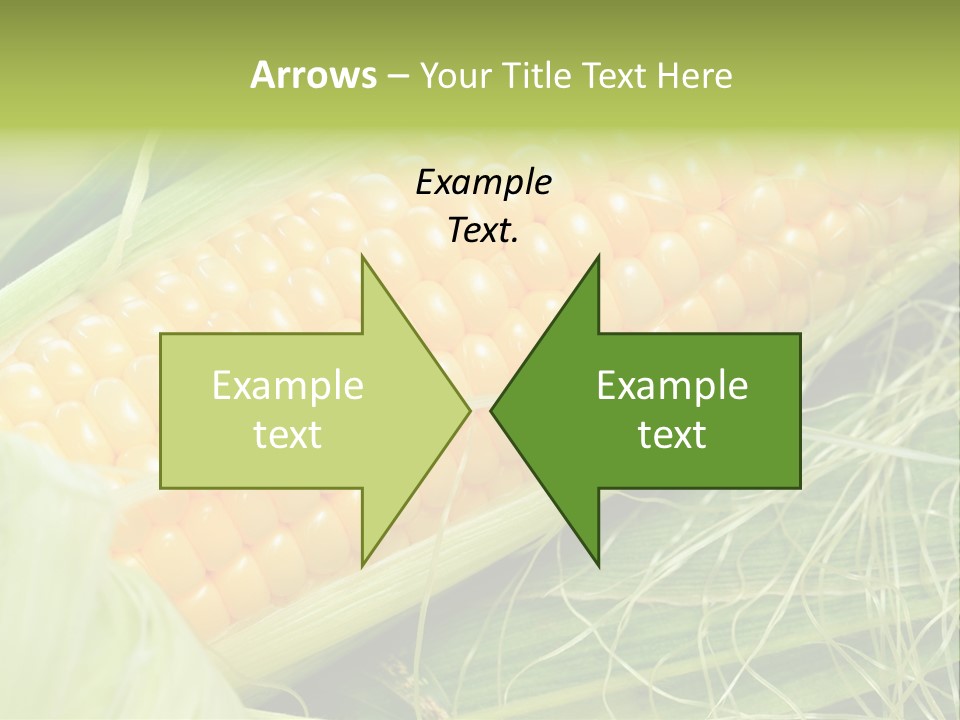 Corn PowerPoint Template