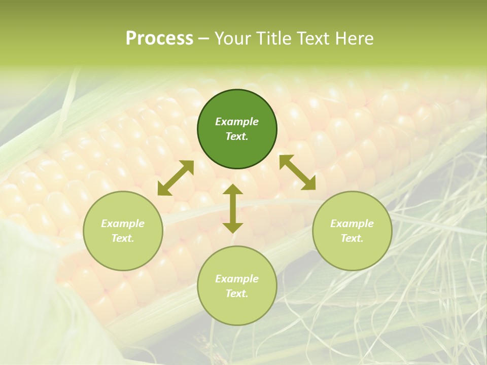 Corn PowerPoint Template