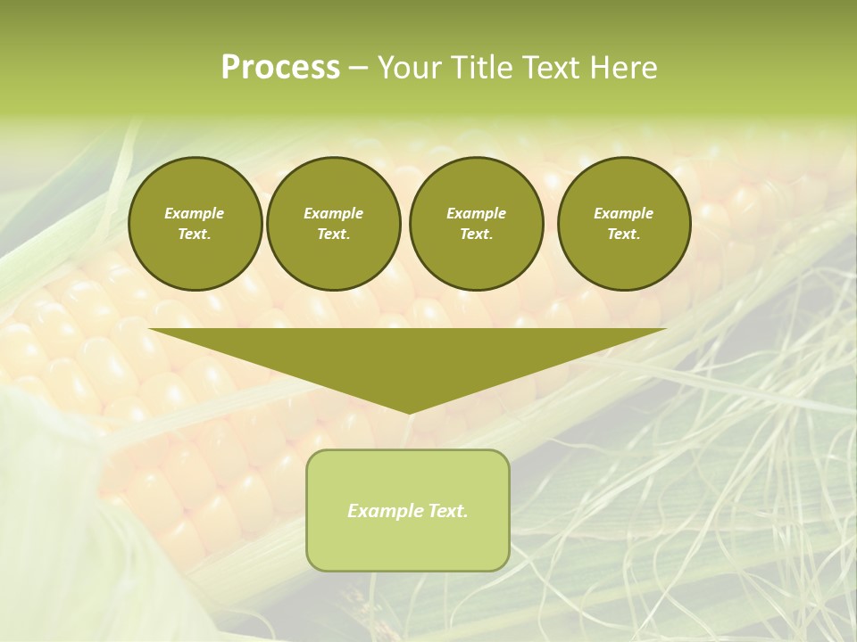 Corn PowerPoint Template