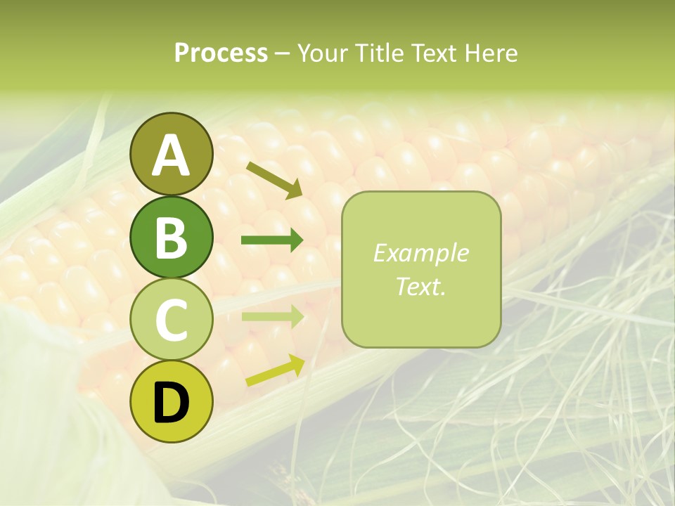 Corn PowerPoint Template