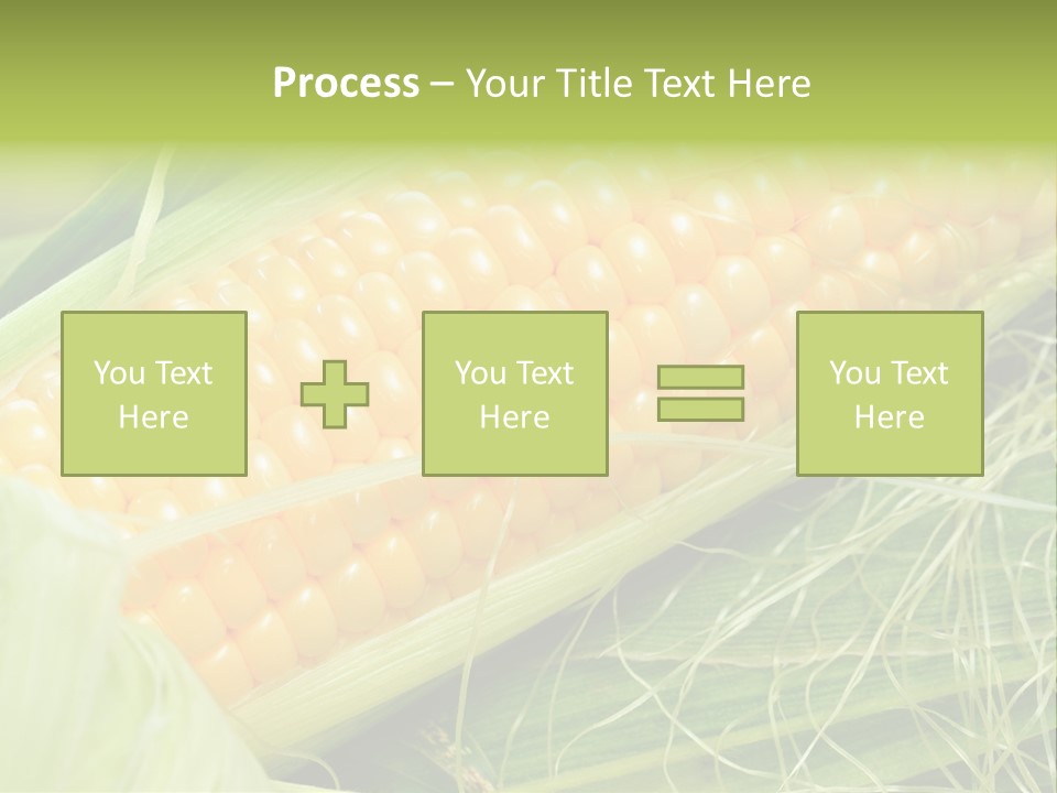 Corn PowerPoint Template