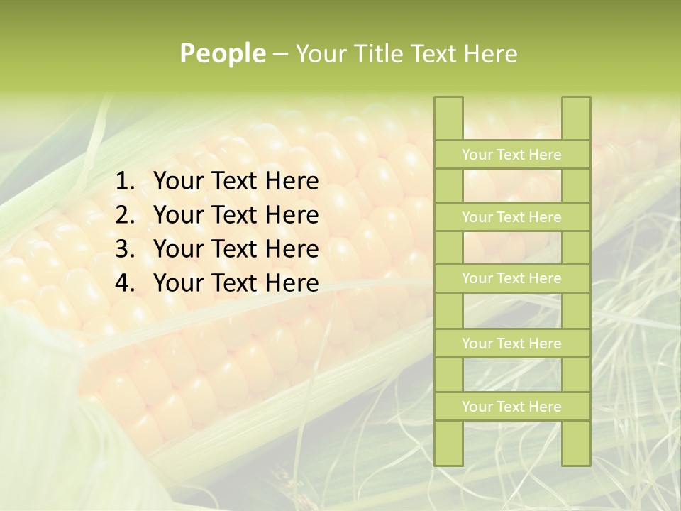 Corn PowerPoint Template