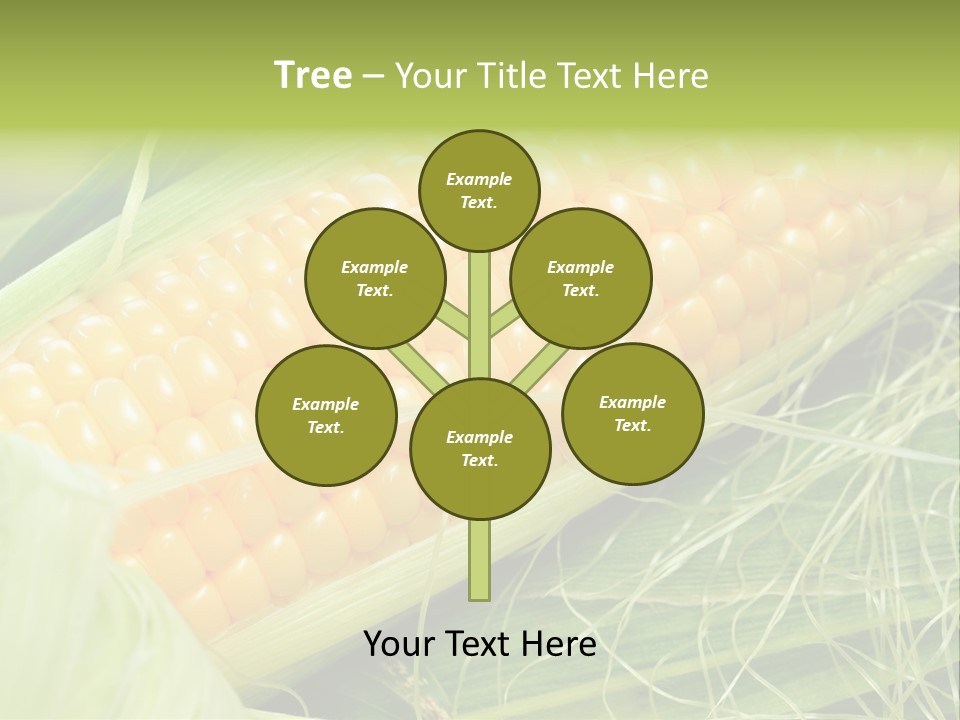 Corn PowerPoint Template