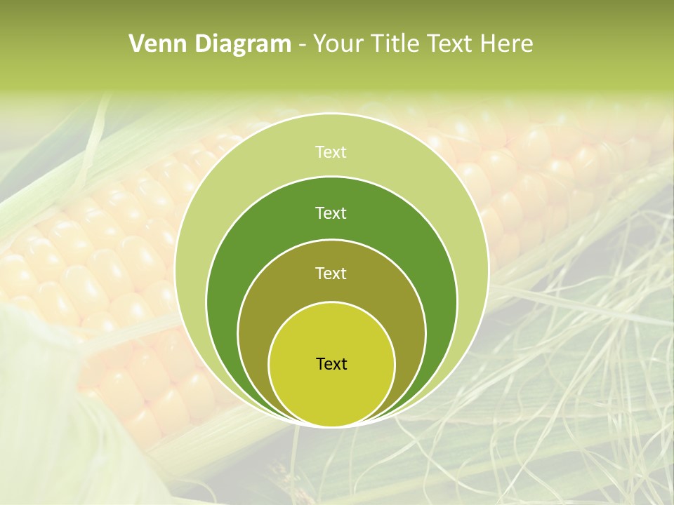 Corn PowerPoint Template