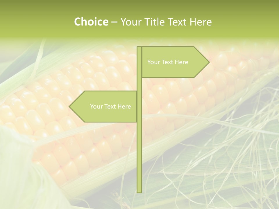 Corn PowerPoint Template