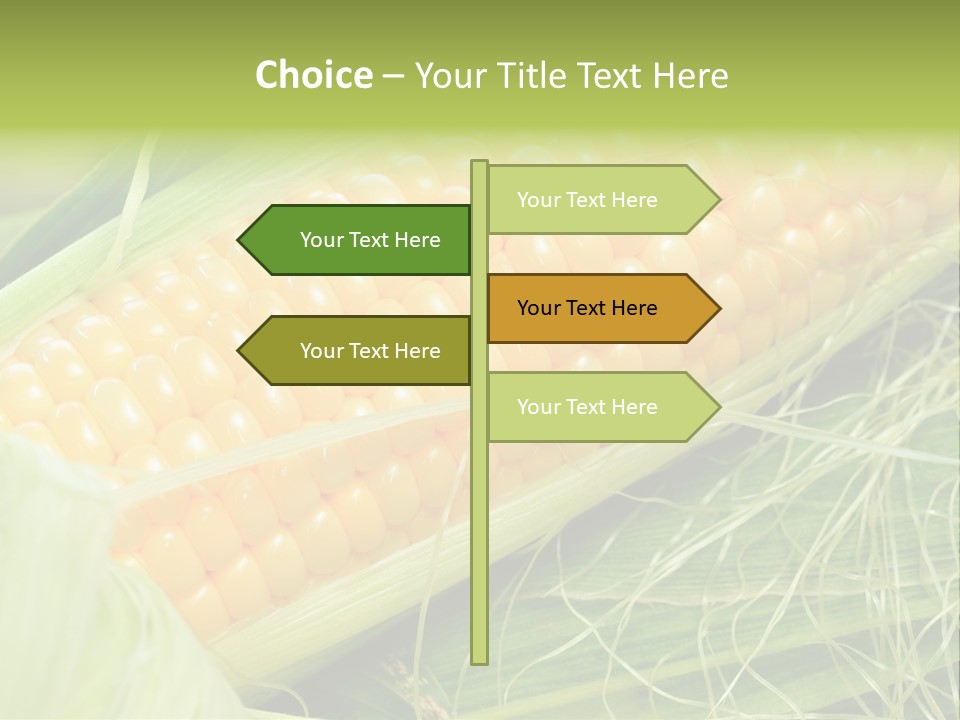 Corn PowerPoint Template