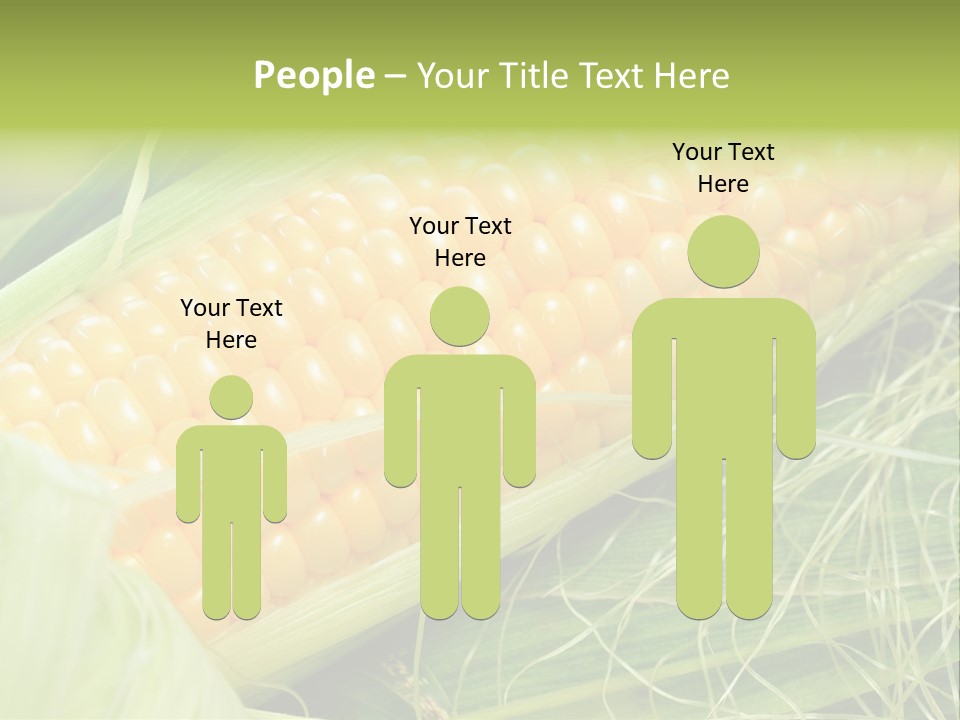 Corn PowerPoint Template