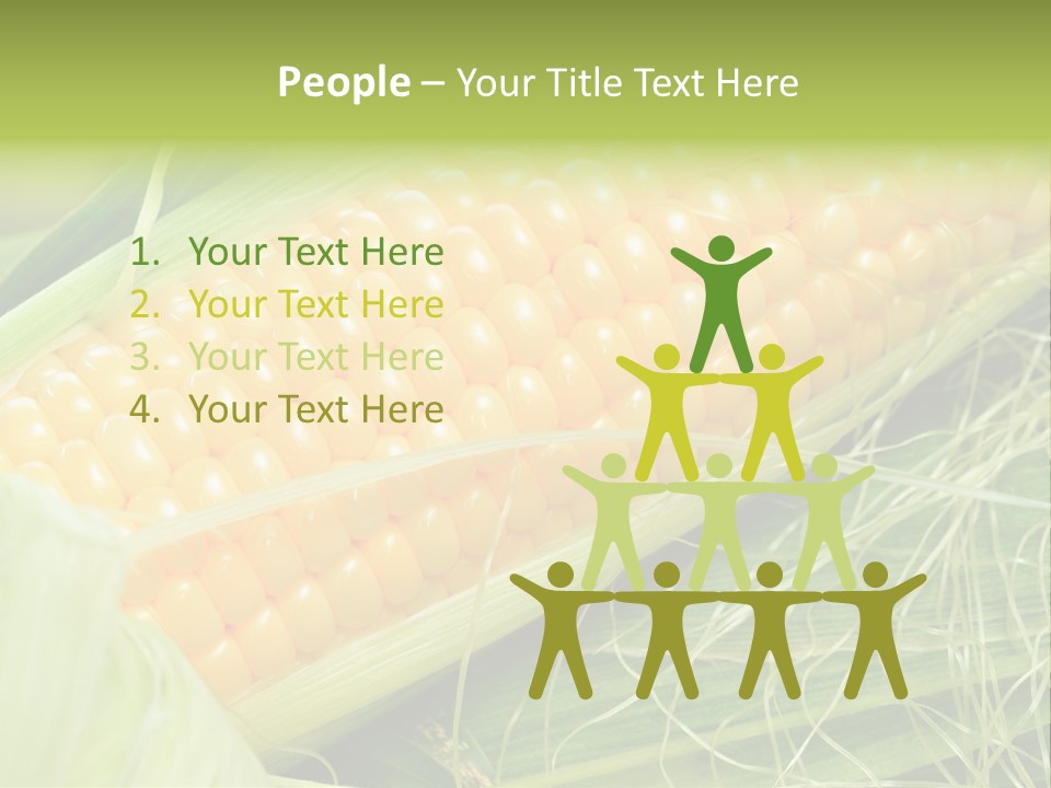 Corn PowerPoint Template