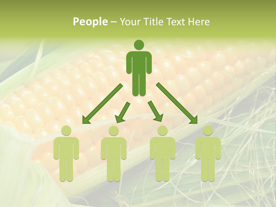 Corn PowerPoint Template