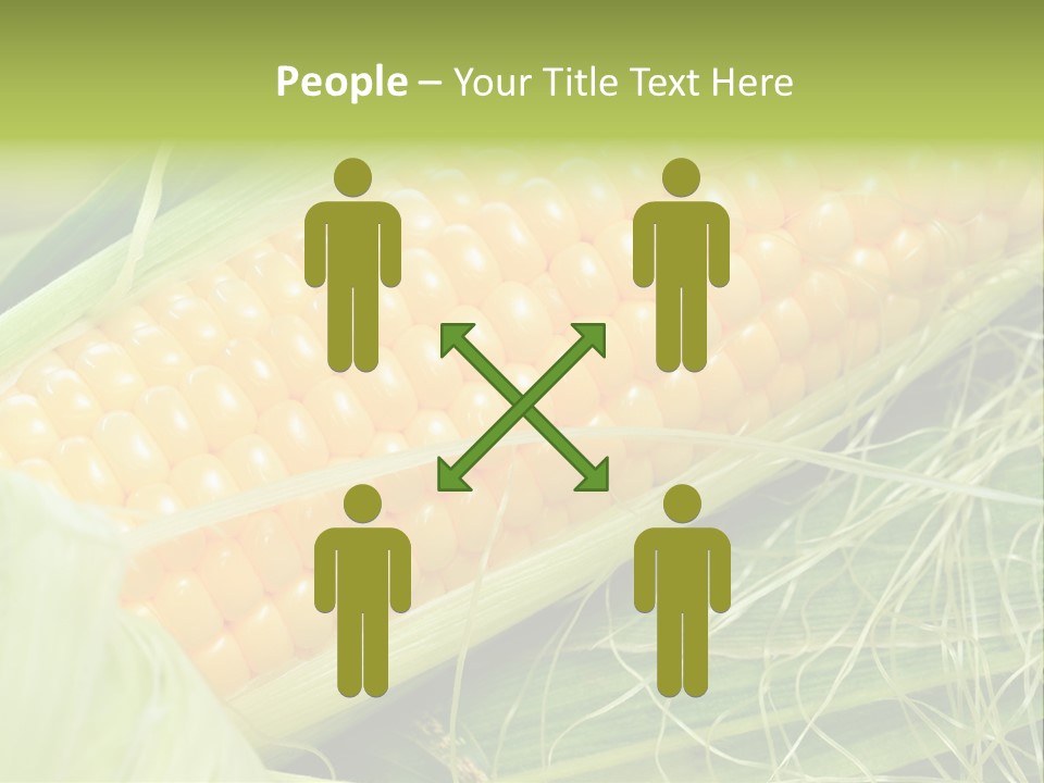 Corn PowerPoint Template