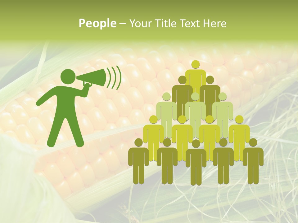 Corn PowerPoint Template
