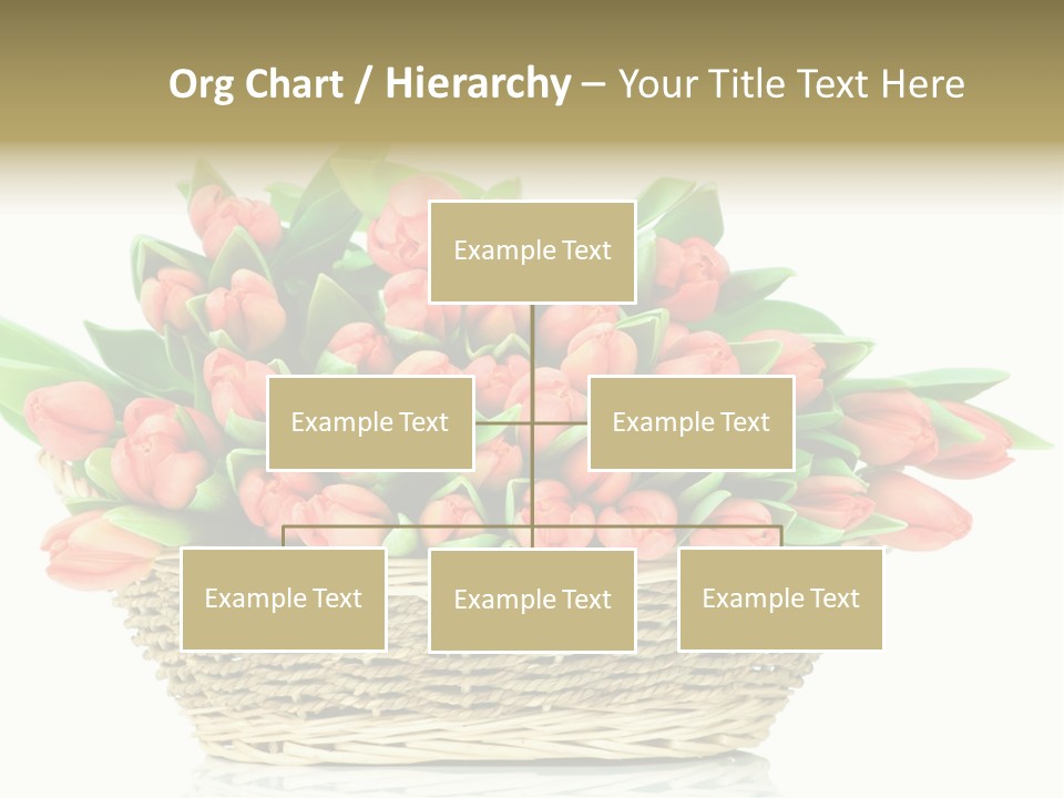 Fresh Straw Isolated PowerPoint Template